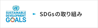 SDGs̎g